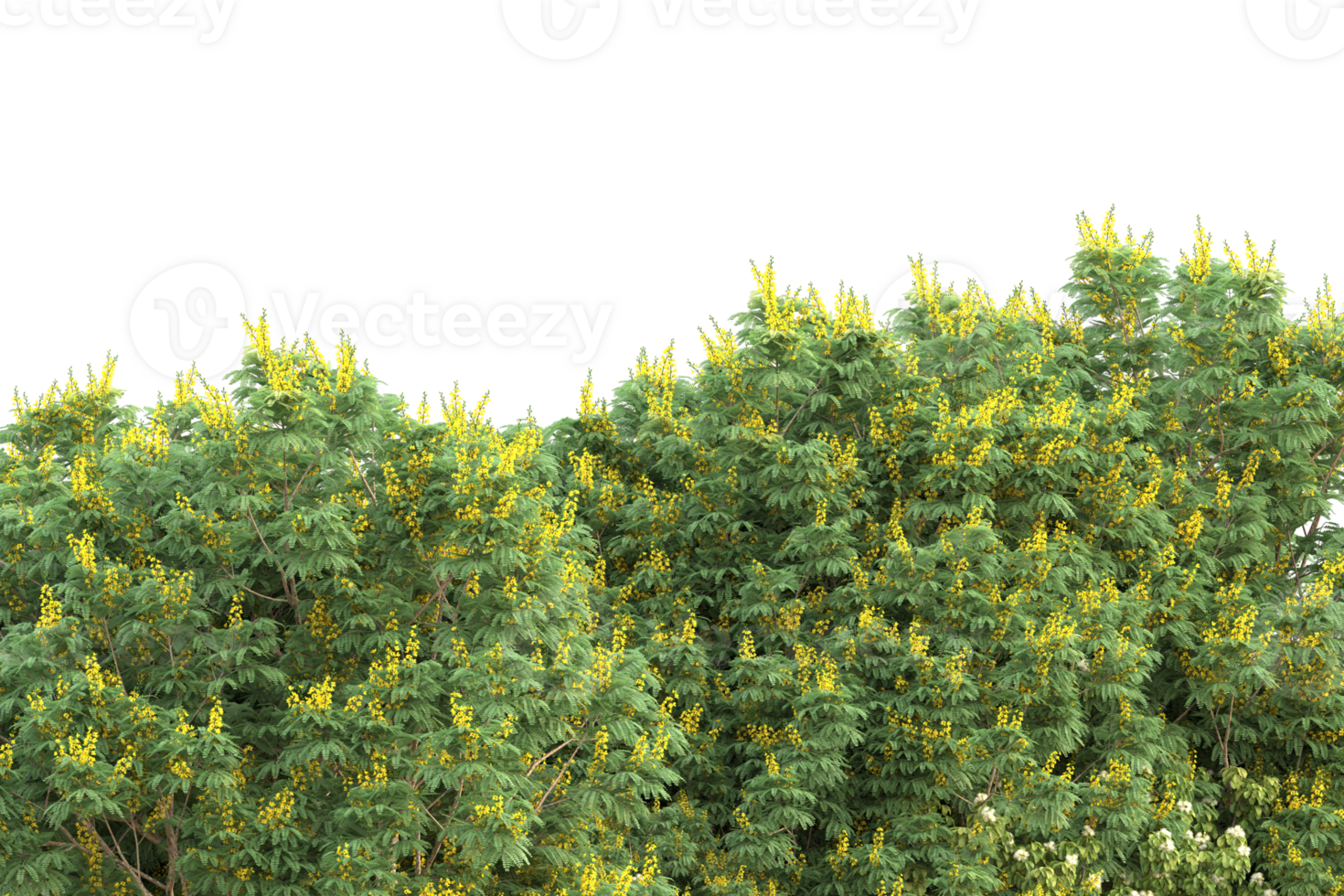 Realistic forest isolated on transparent background. 3d rendering - illustration png