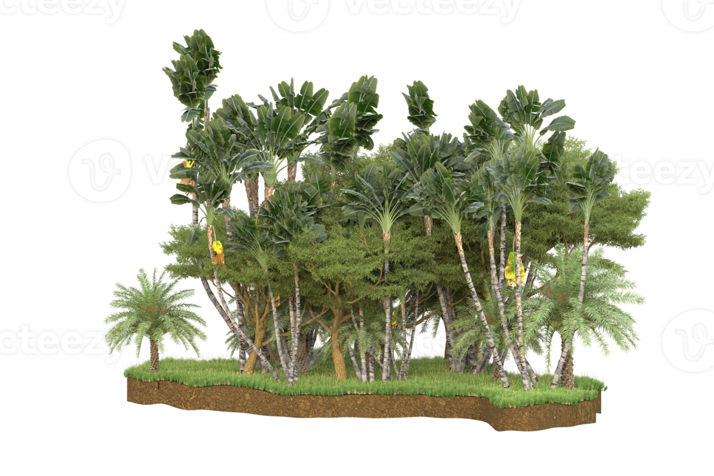 Realistic forest isolated on transparent background. 3d rendering - illustration png
