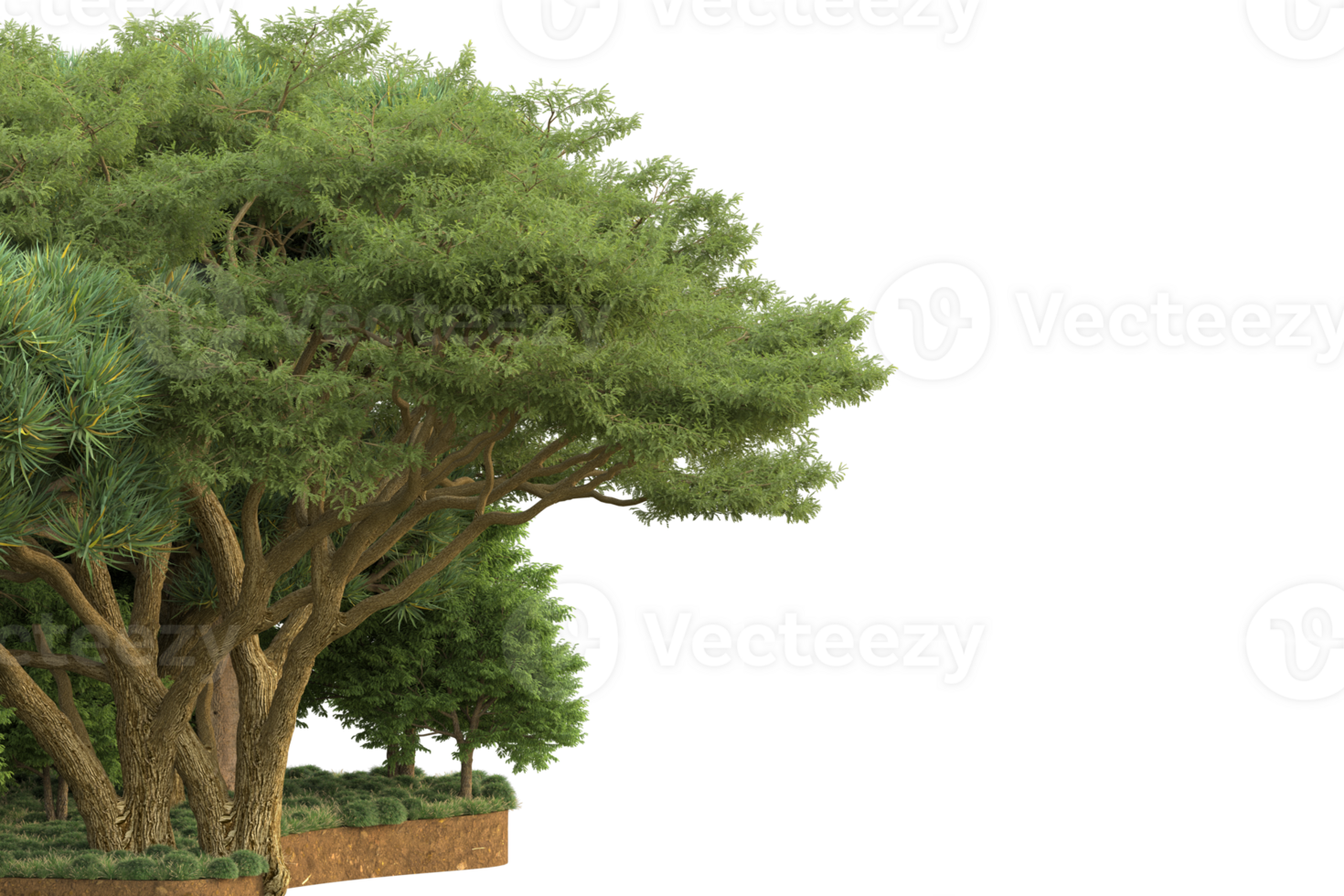 Realistic forest isolated on transparent background. 3d rendering - illustration png