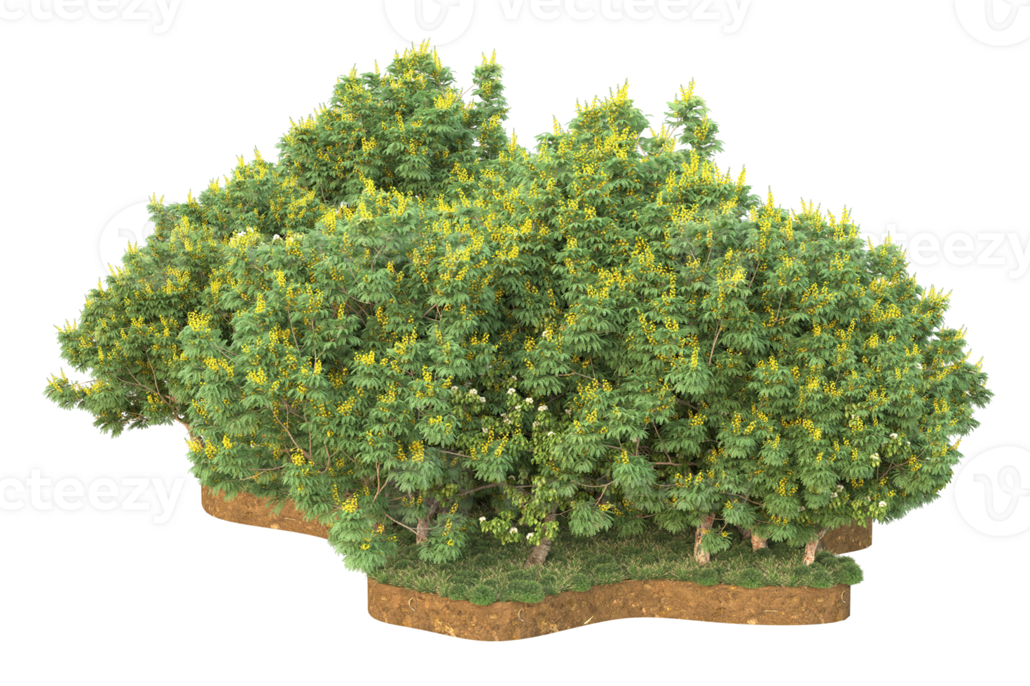 Realistic forest isolated on transparent background. 3d rendering - illustration png