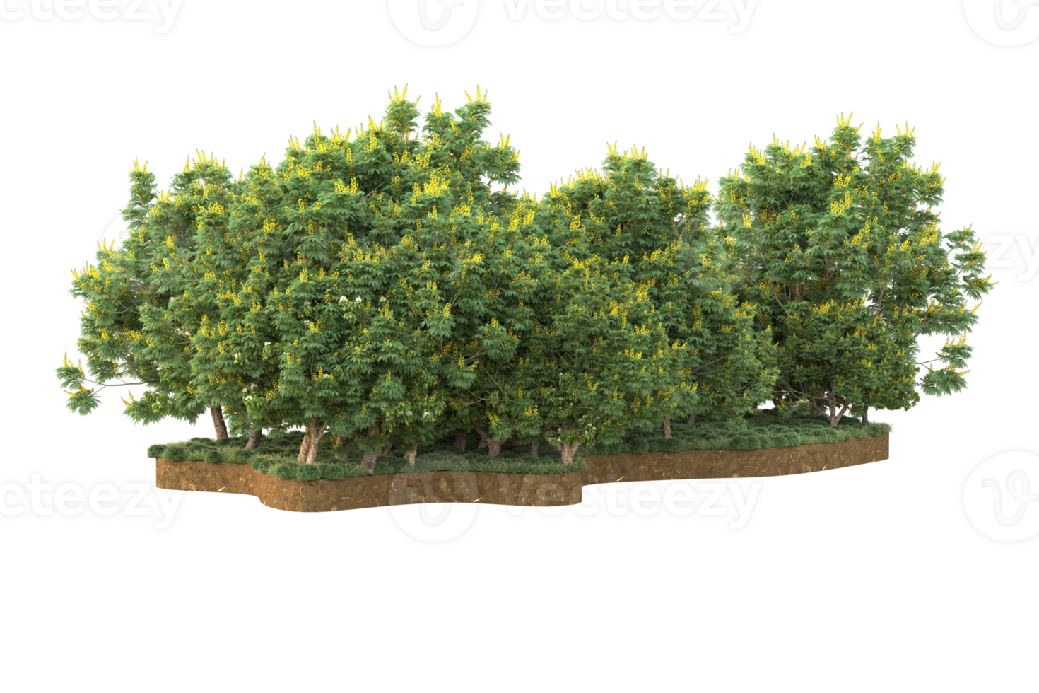 Realistic forest isolated on transparent background. 3d rendering - illustration png