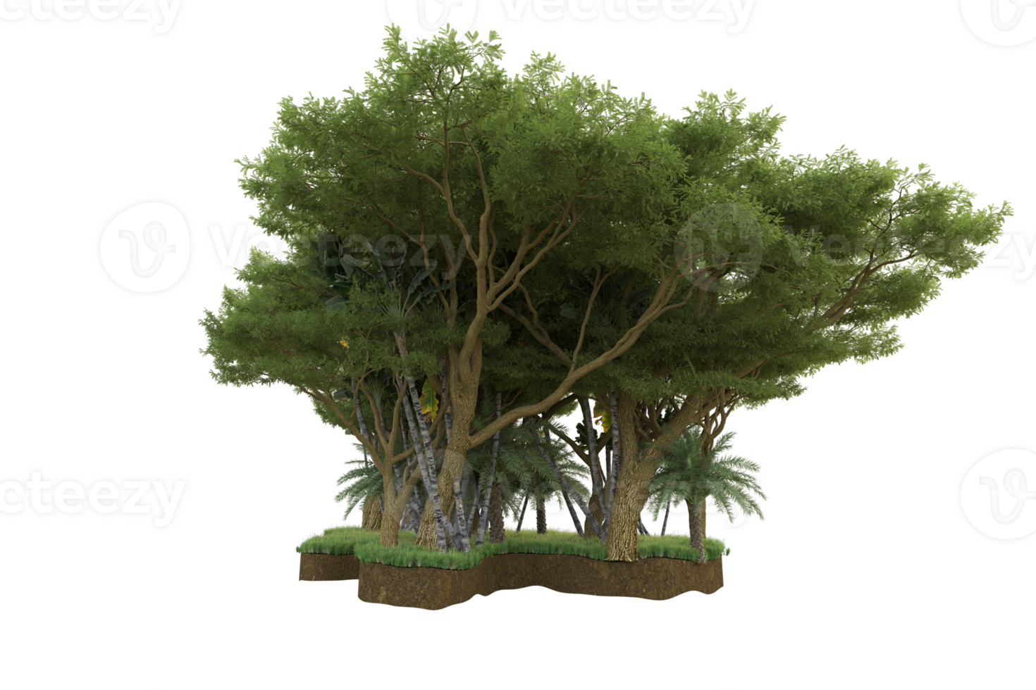 Realistic forest isolated on transparent background. 3d rendering - illustration png