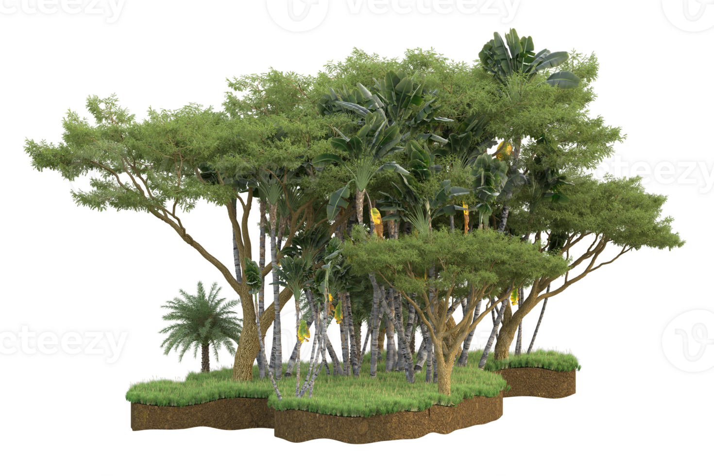 Realistic forest isolated on transparent background. 3d rendering - illustration png