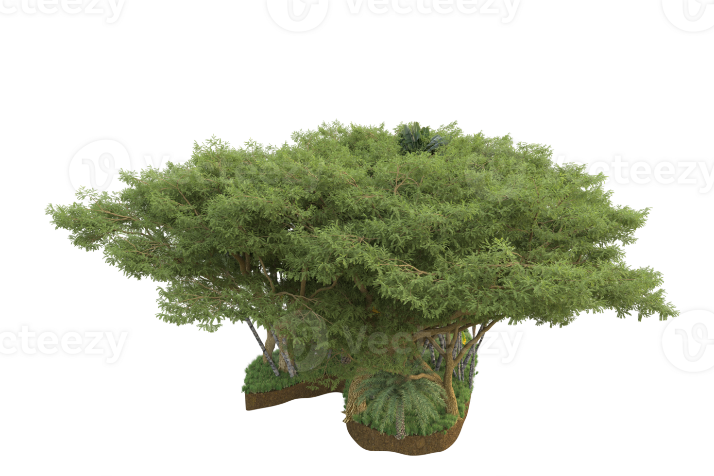 Realistic forest isolated on transparent background. 3d rendering - illustration png