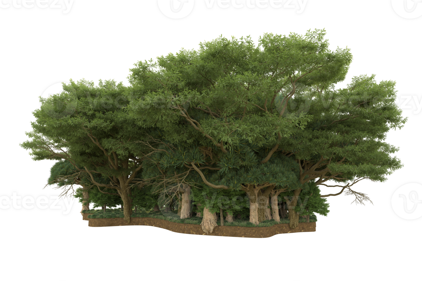 Realistic forest isolated on transparent background. 3d rendering - illustration png