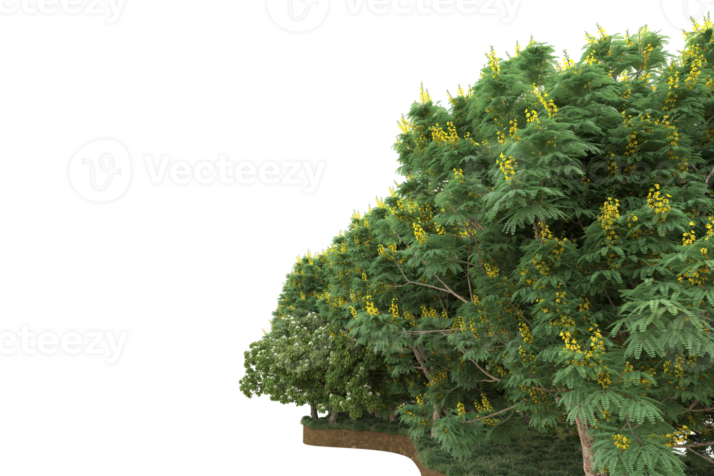 Realistic forest isolated on transparent background. 3d rendering - illustration png