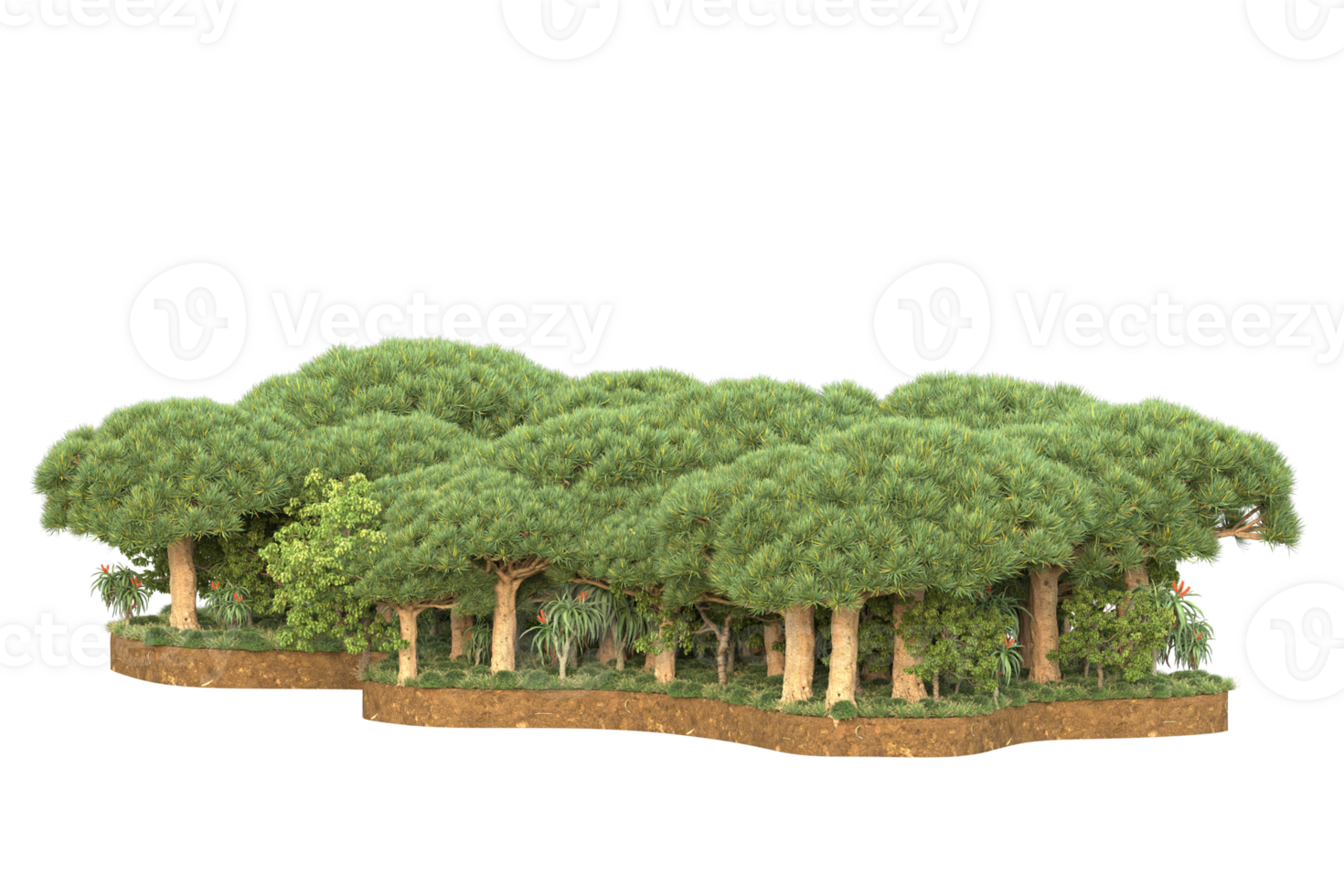 Realistic forest isolated on transparent background. 3d rendering - illustration png