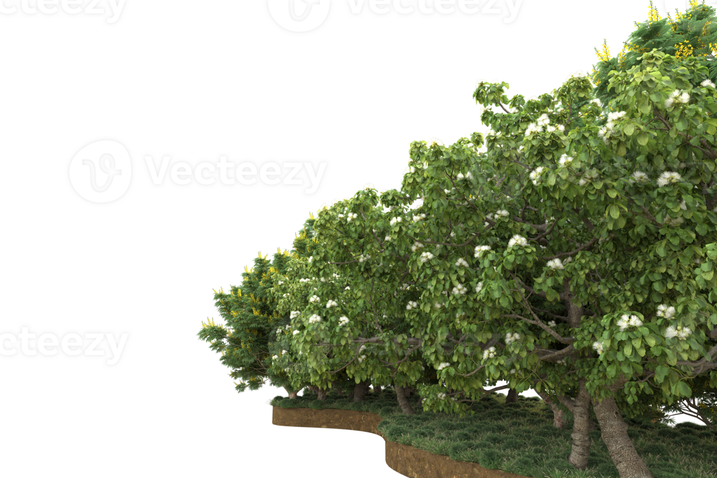 Realistic forest isolated on transparent background. 3d rendering - illustration png