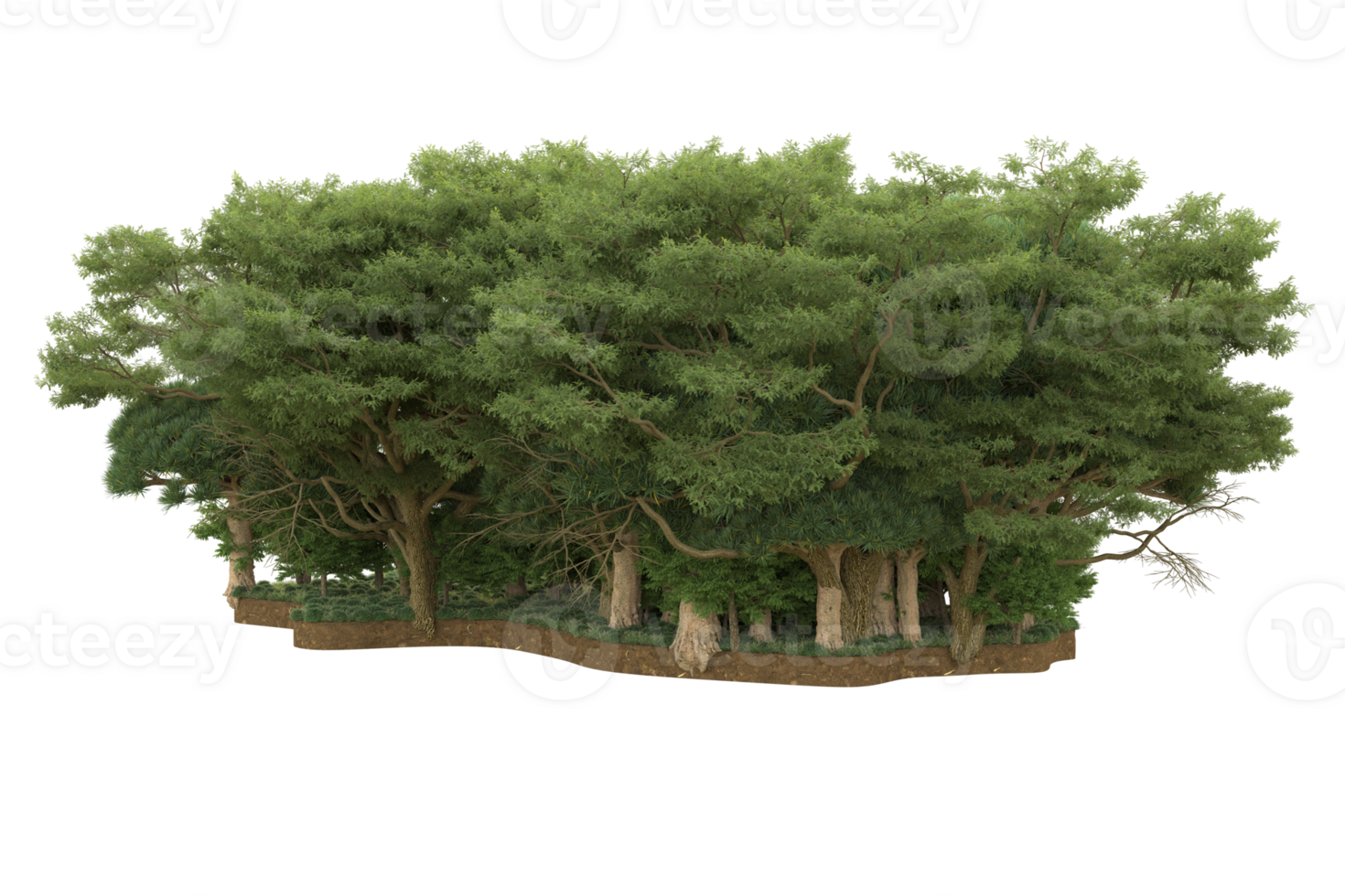 Realistic forest isolated on transparent background. 3d rendering - illustration png