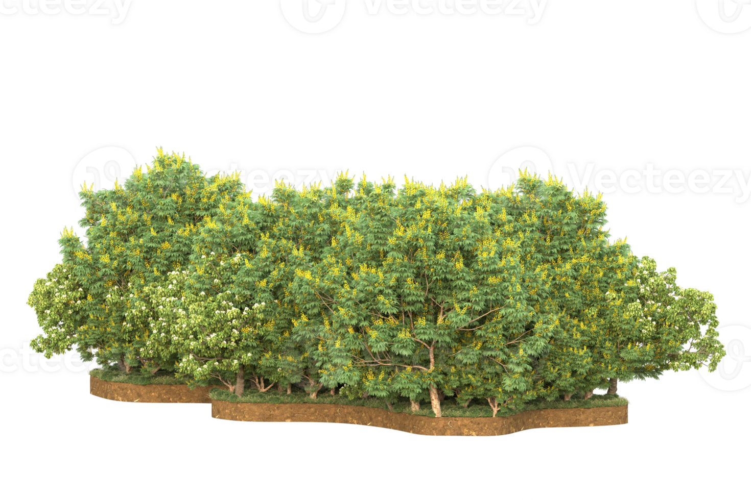 Realistic forest isolated on transparent background. 3d rendering - illustration png