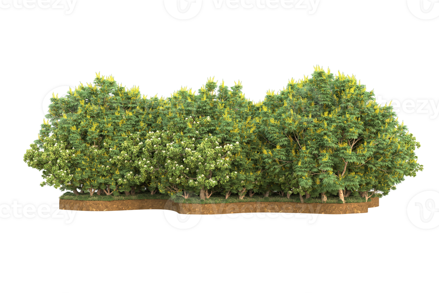Realistic forest isolated on transparent background. 3d rendering - illustration png