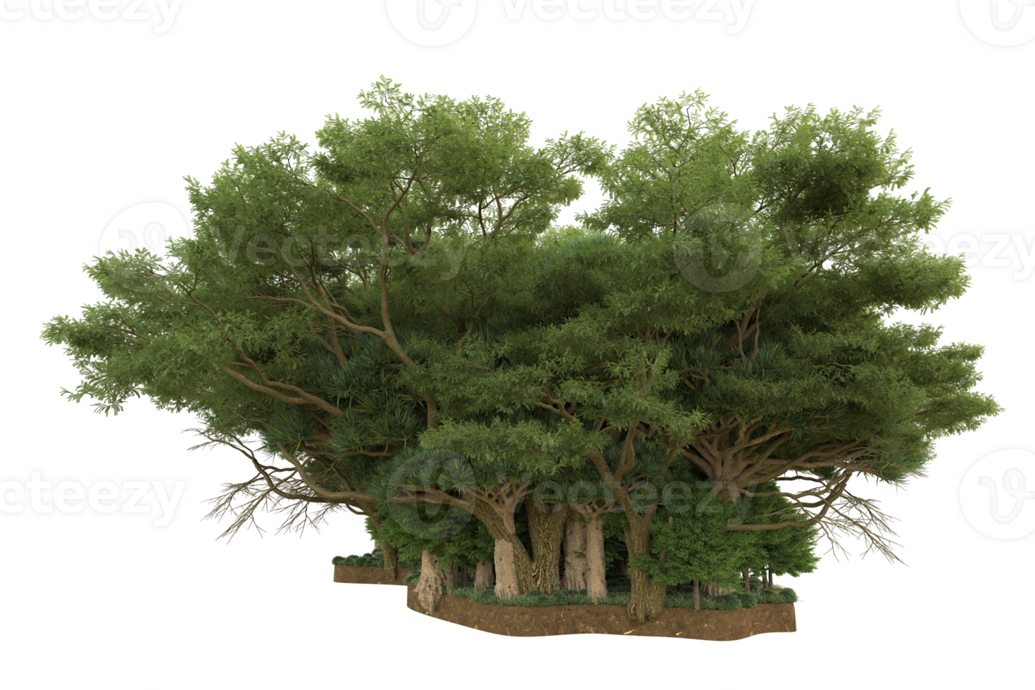 Realistic forest isolated on transparent background. 3d rendering - illustration png