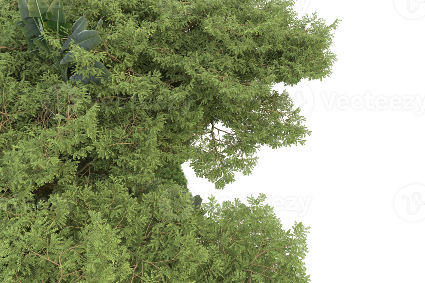 Realistic forest isolated on transparent background. 3d rendering - illustration png