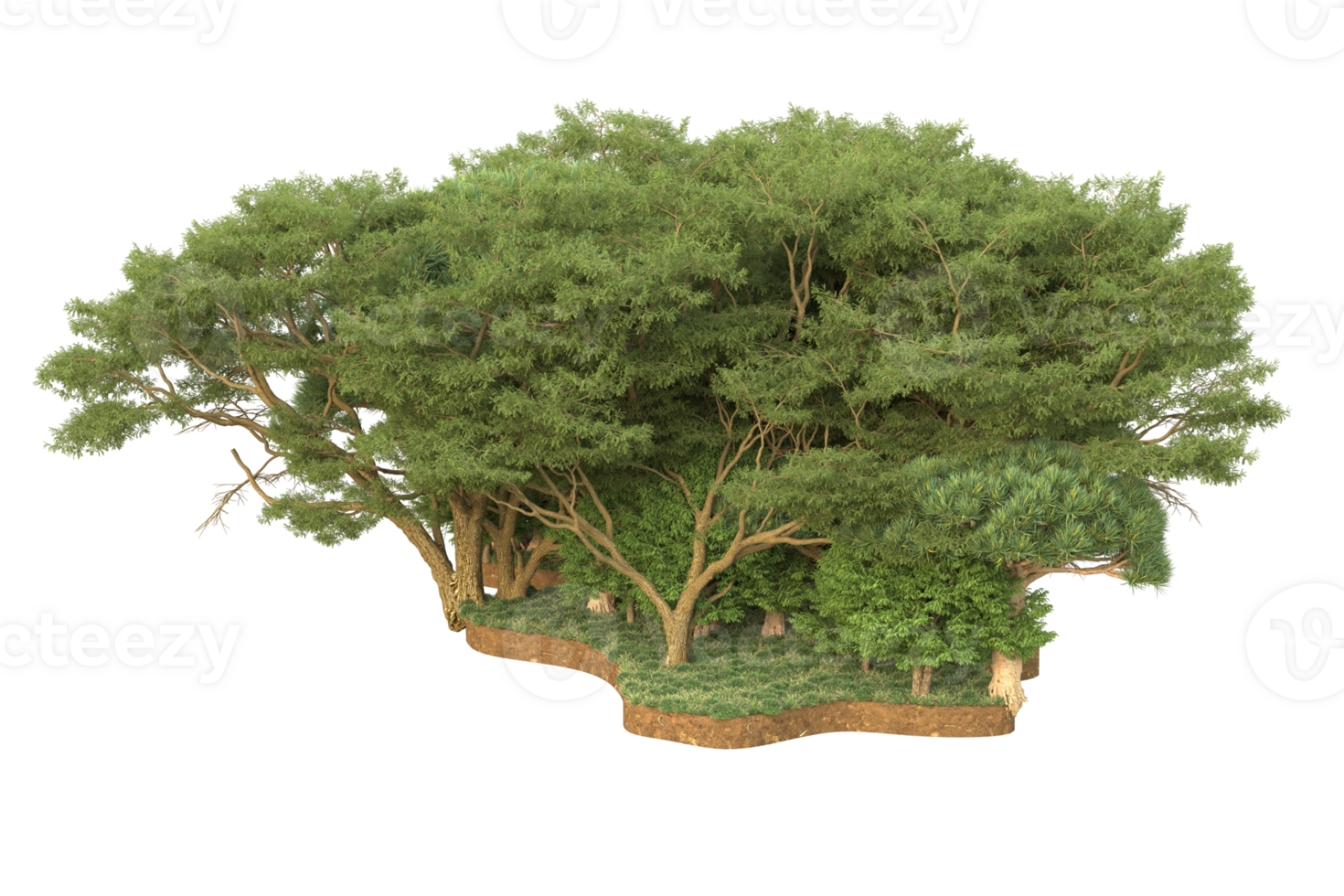 Realistic forest isolated on transparent background. 3d rendering - illustration png