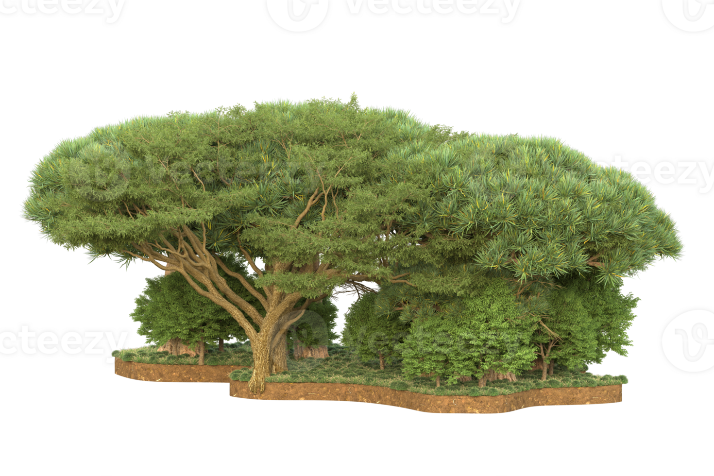 Realistic forest isolated on transparent background. 3d rendering - illustration png