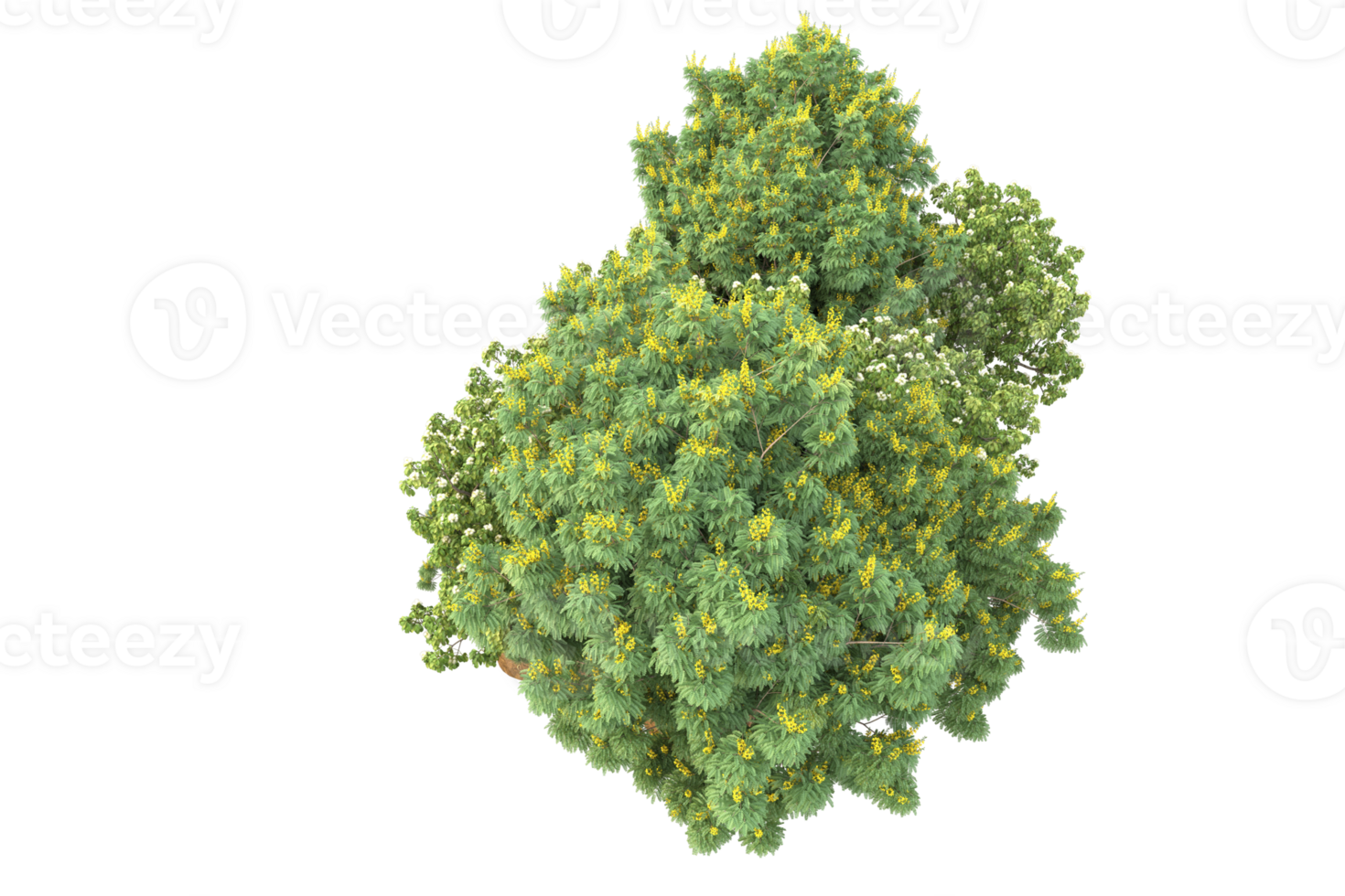 Realistic forest isolated on transparent background. 3d rendering - illustration png