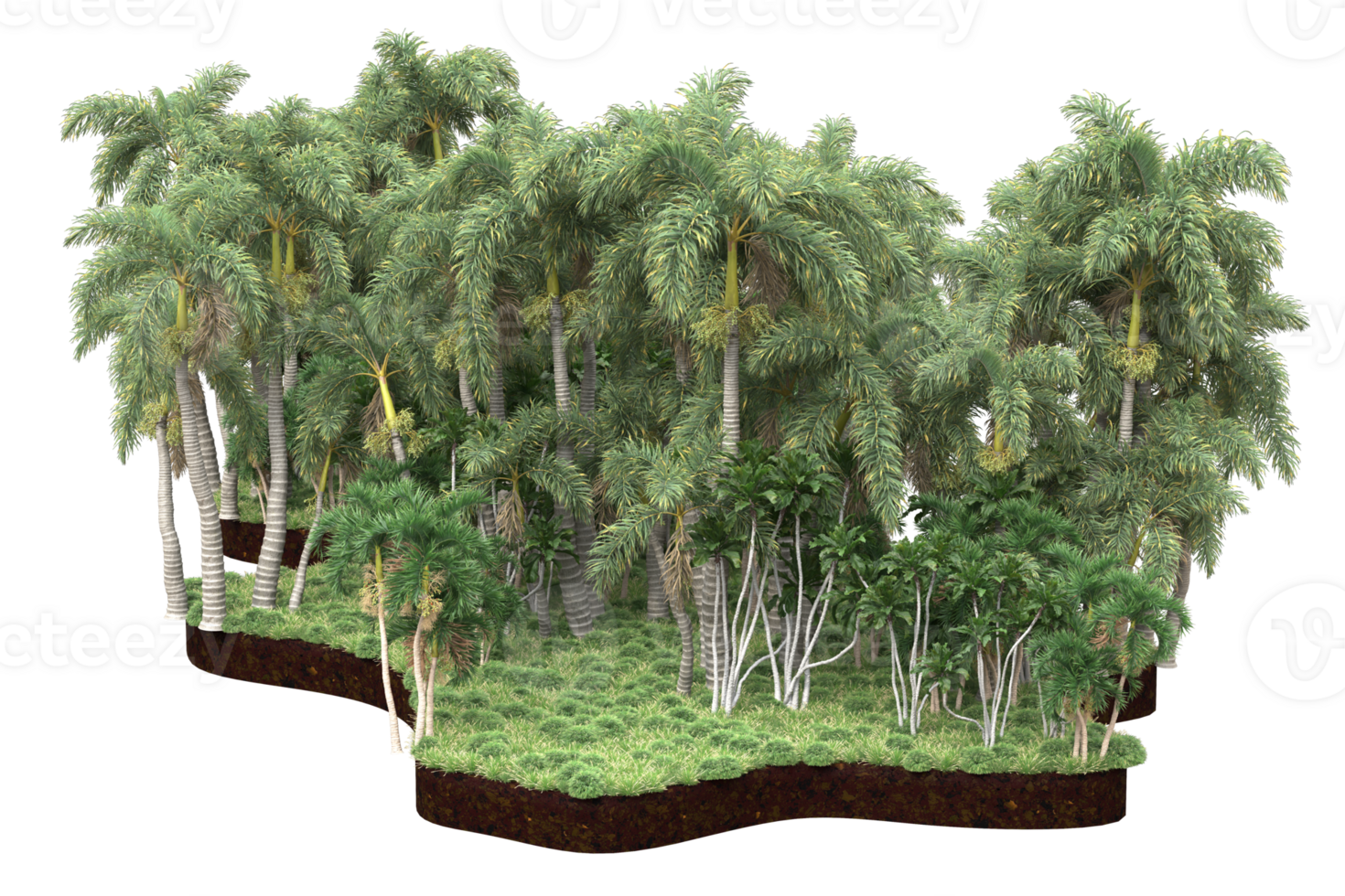 Realistic forest isolated on transparent background. 3d rendering - illustration png