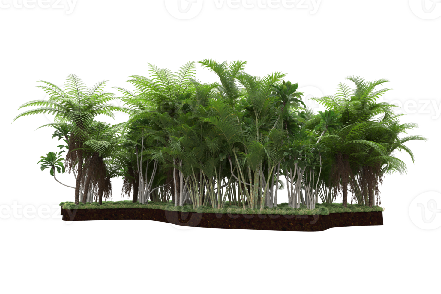 Realistic forest isolated on transparent background. 3d rendering - illustration png