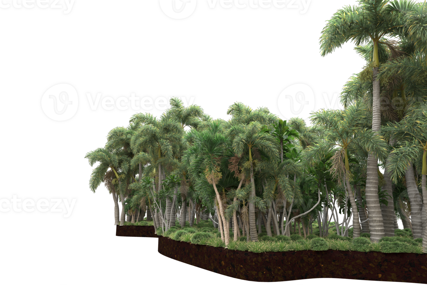 Realistic forest isolated on transparent background. 3d rendering - illustration png