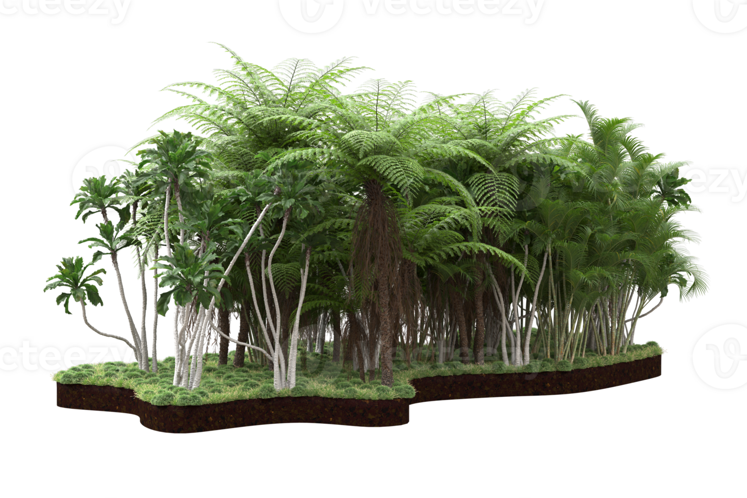 Realistic forest isolated on transparent background. 3d rendering - illustration png