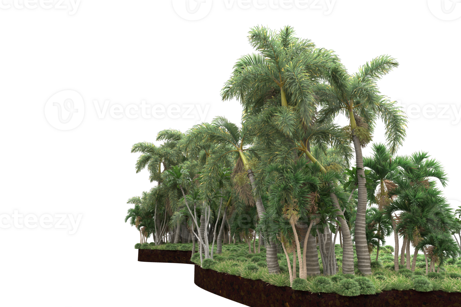 Realistic forest isolated on transparent background. 3d rendering - illustration png