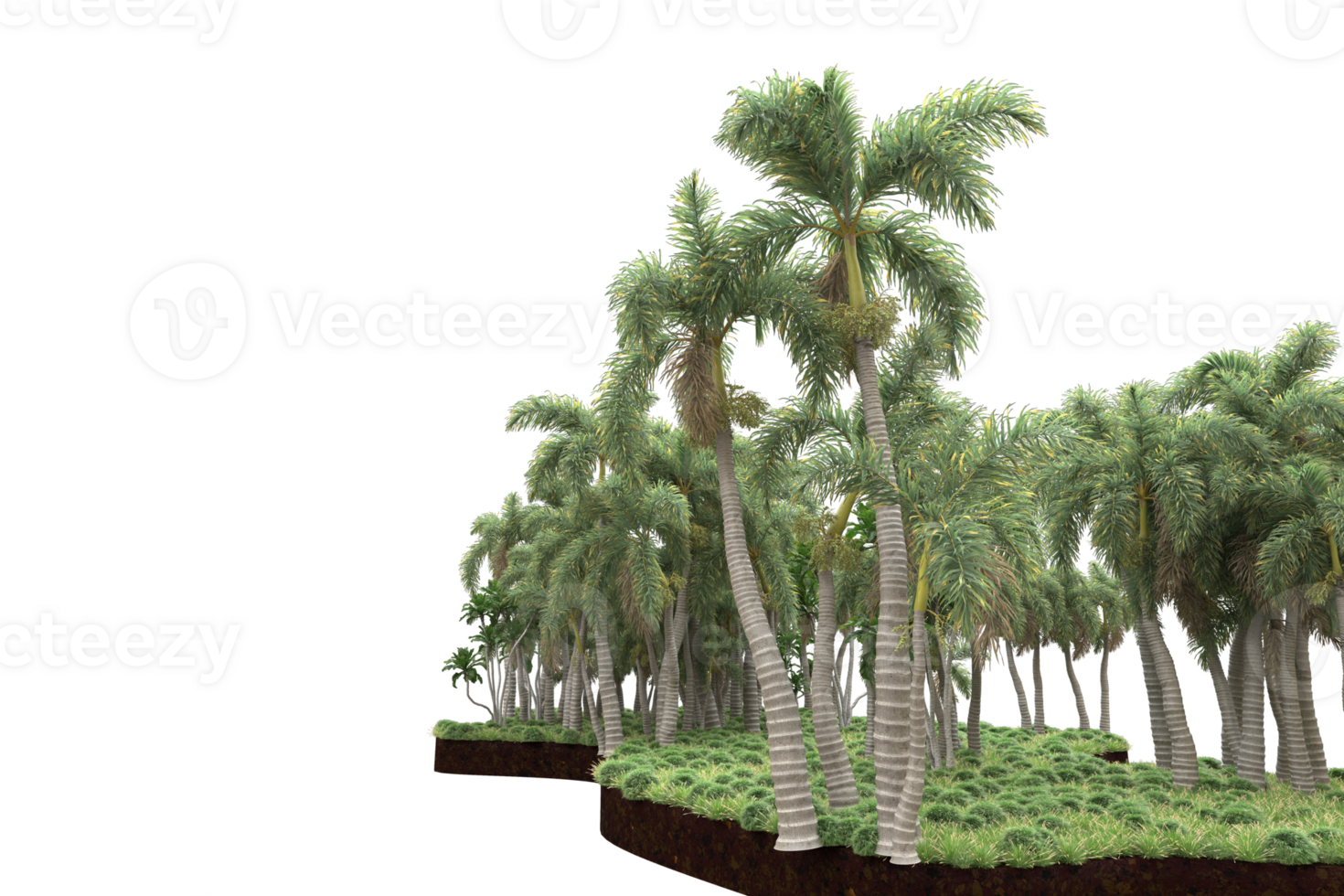 Realistic forest isolated on transparent background. 3d rendering - illustration png
