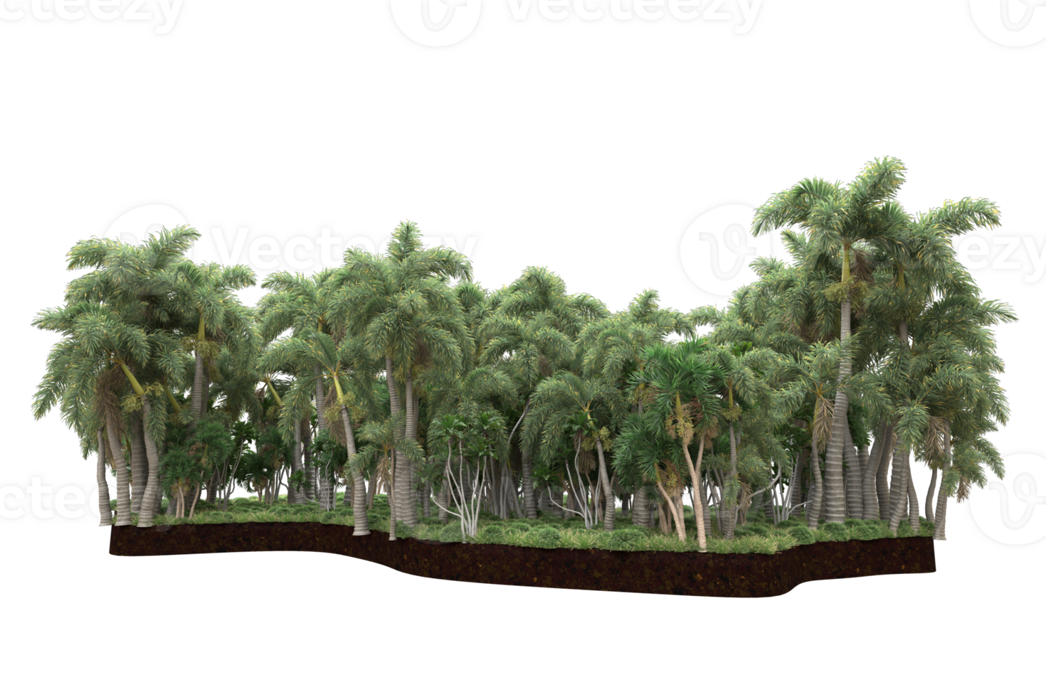 Realistic forest isolated on transparent background. 3d rendering - illustration png
