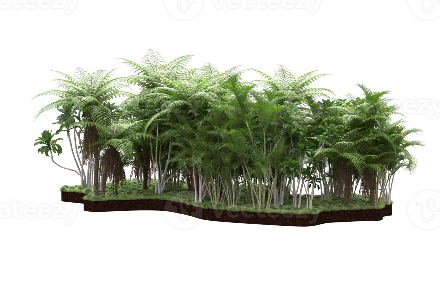 Realistic forest isolated on transparent background. 3d rendering - illustration png