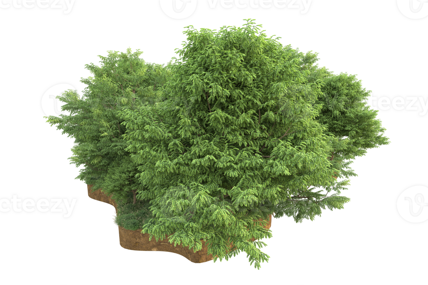 Realistic forest isolated on transparent background. 3d rendering - illustration png