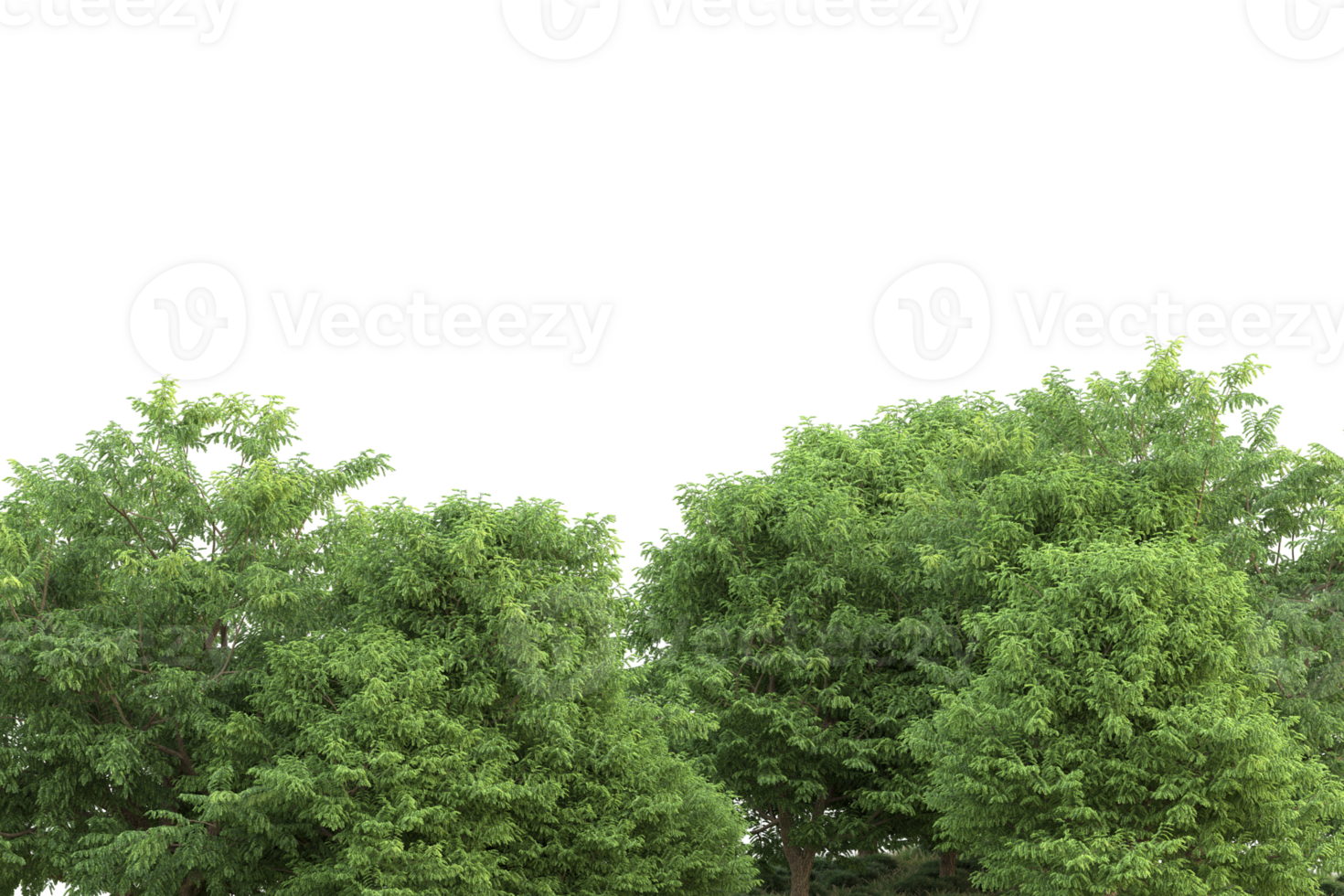 Realistic forest isolated on transparent background. 3d rendering - illustration png