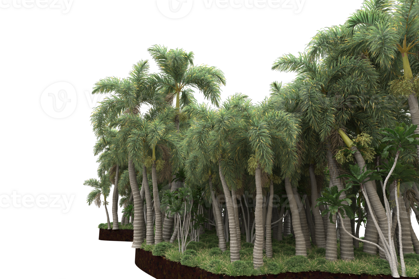 Realistic forest isolated on transparent background. 3d rendering - illustration png