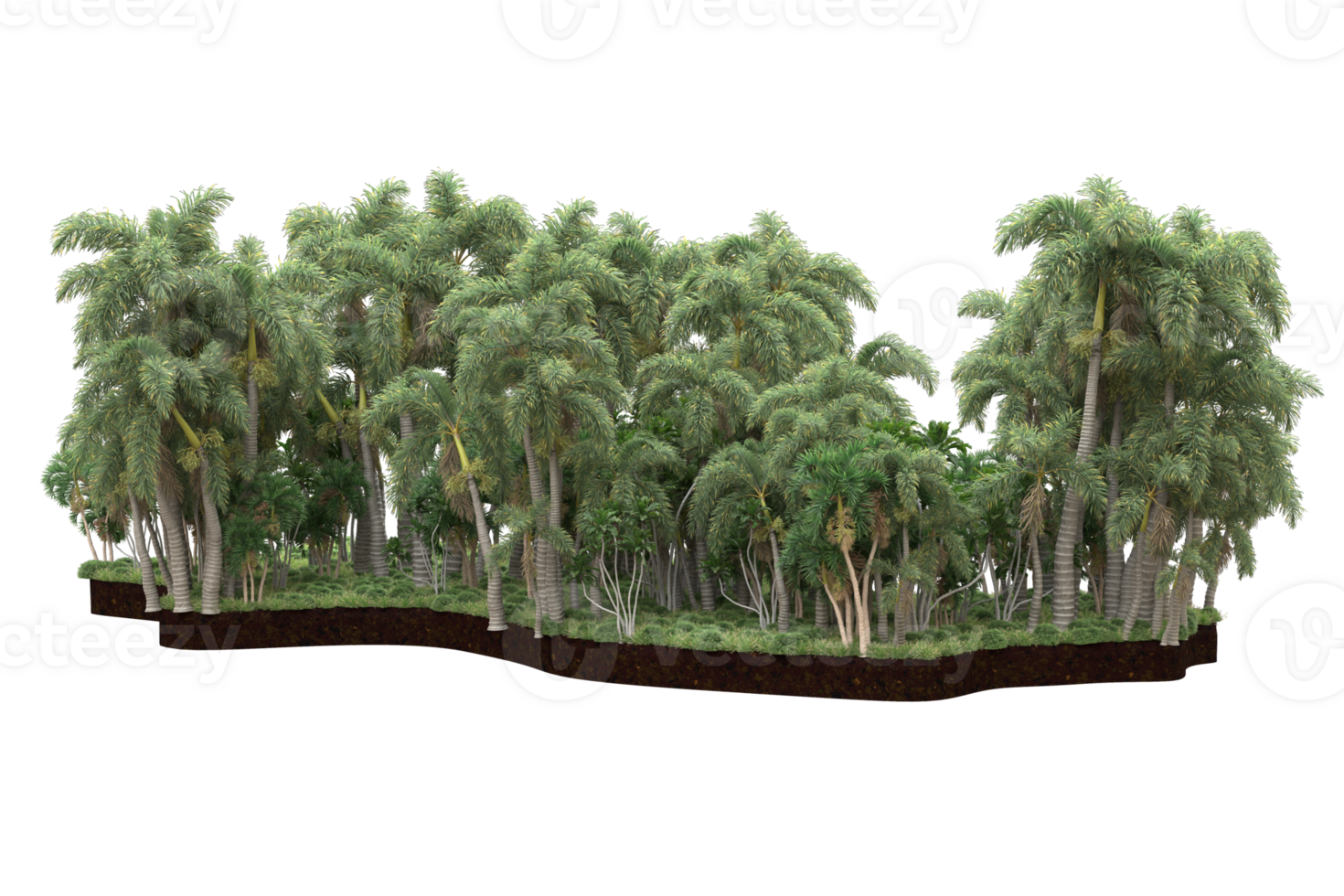 Realistic forest isolated on transparent background. 3d rendering - illustration png