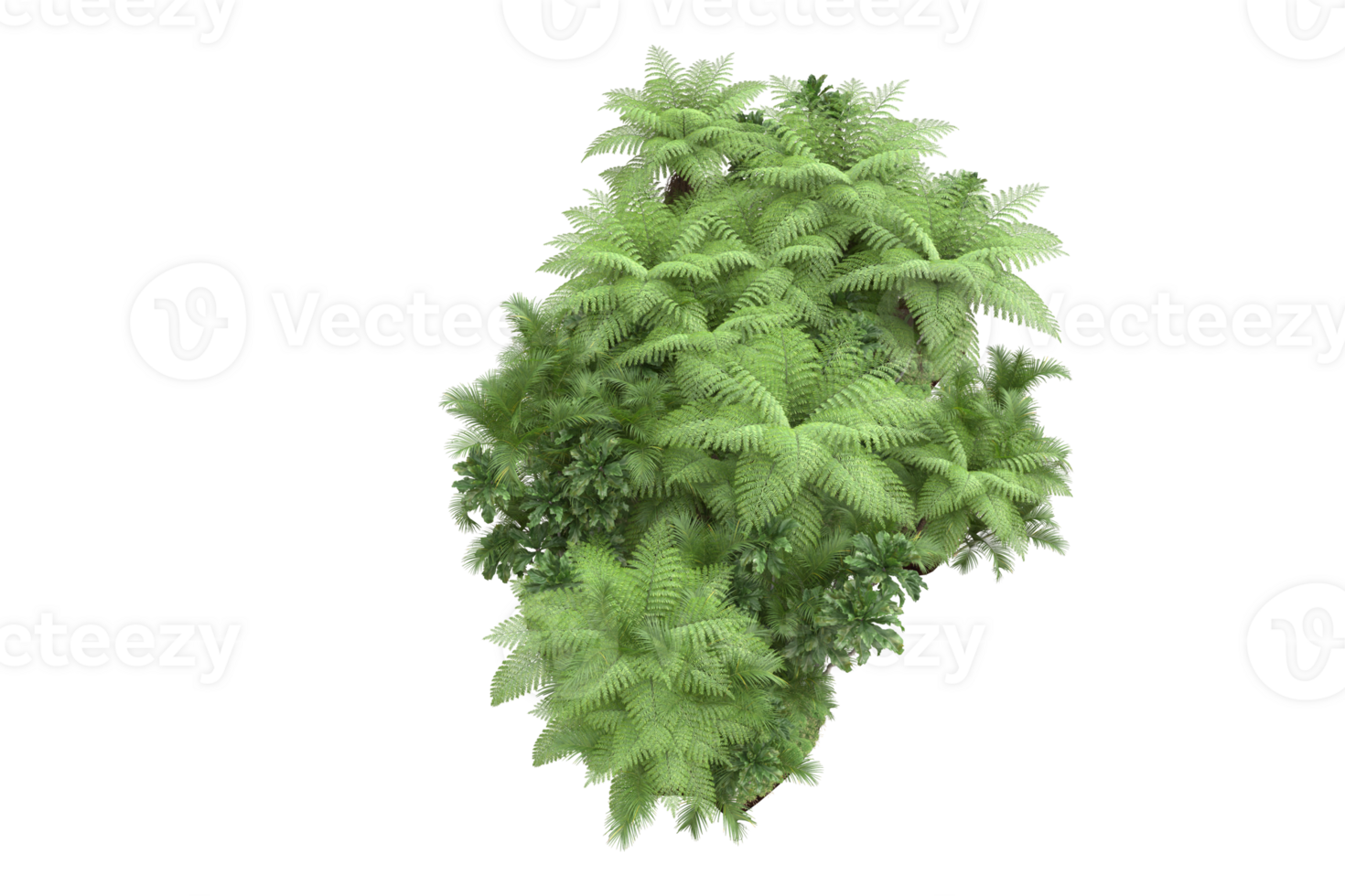 Realistic forest isolated on transparent background. 3d rendering - illustration png