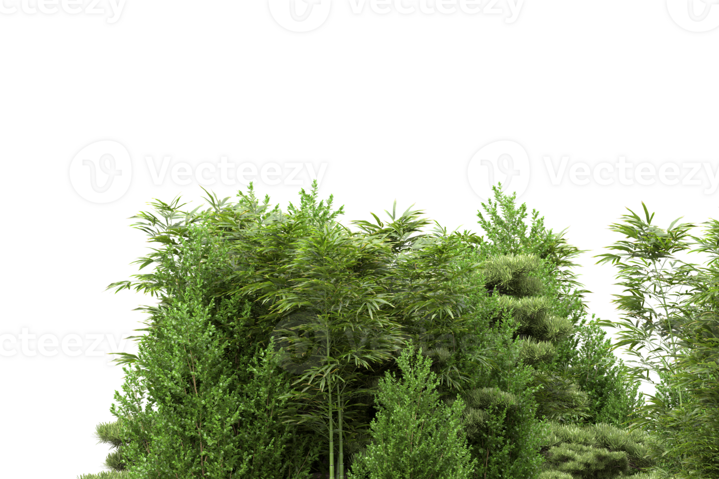 Realistic forest isolated on transparent background. 3d rendering - illustration png
