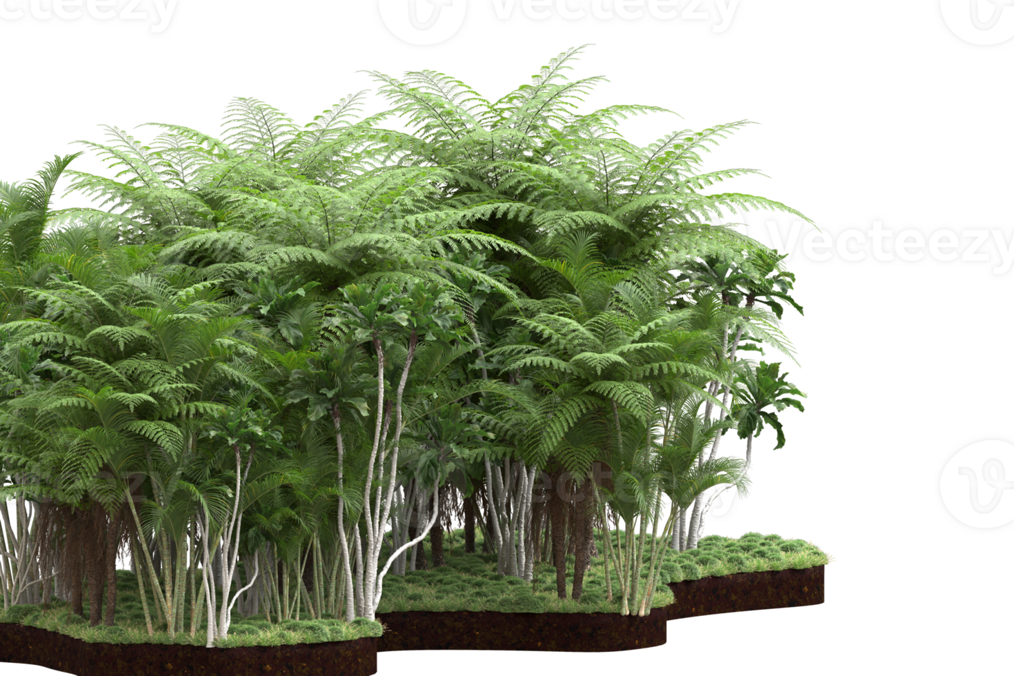 Realistic forest isolated on transparent background. 3d rendering - illustration png