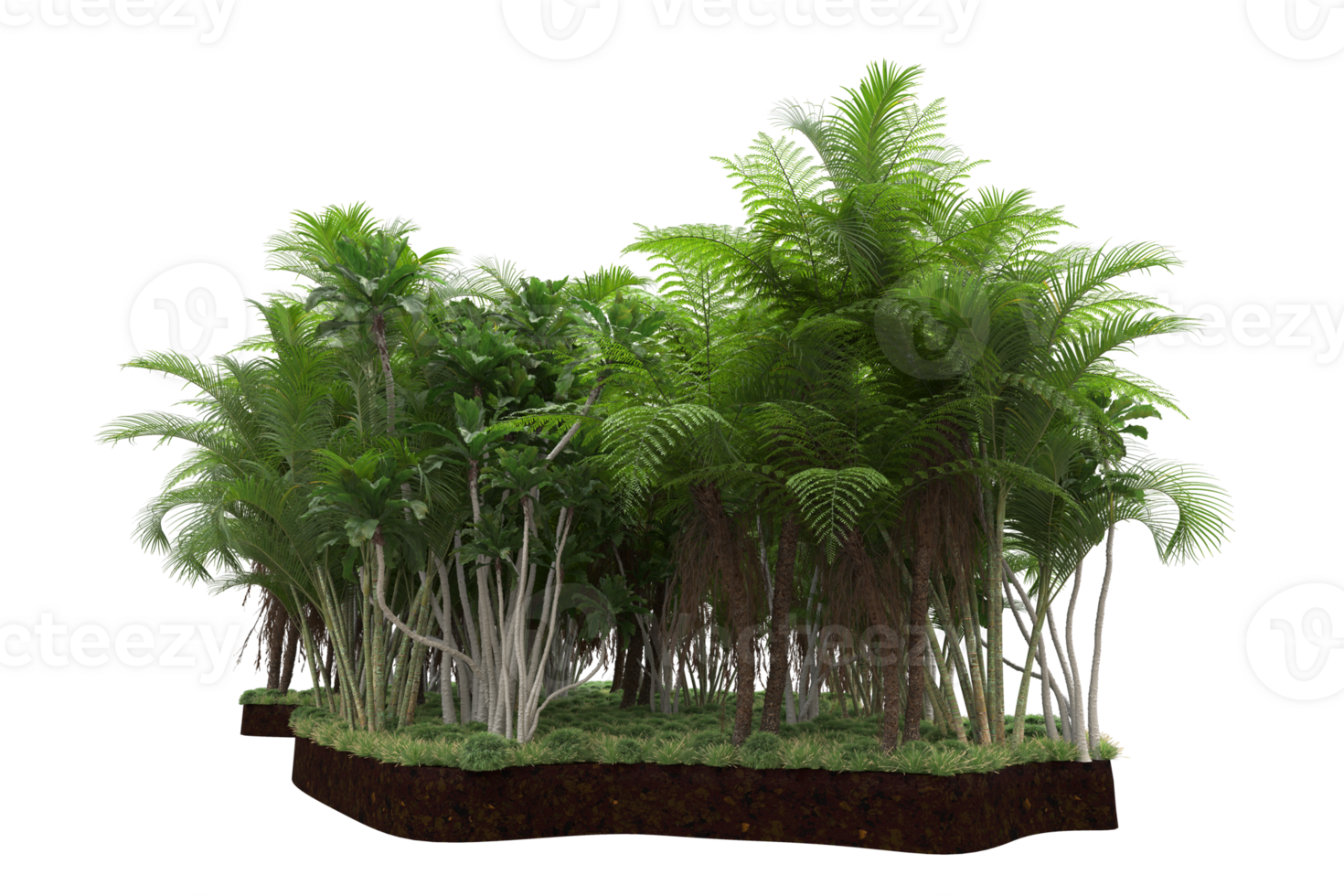 Realistic forest isolated on transparent background. 3d rendering - illustration png