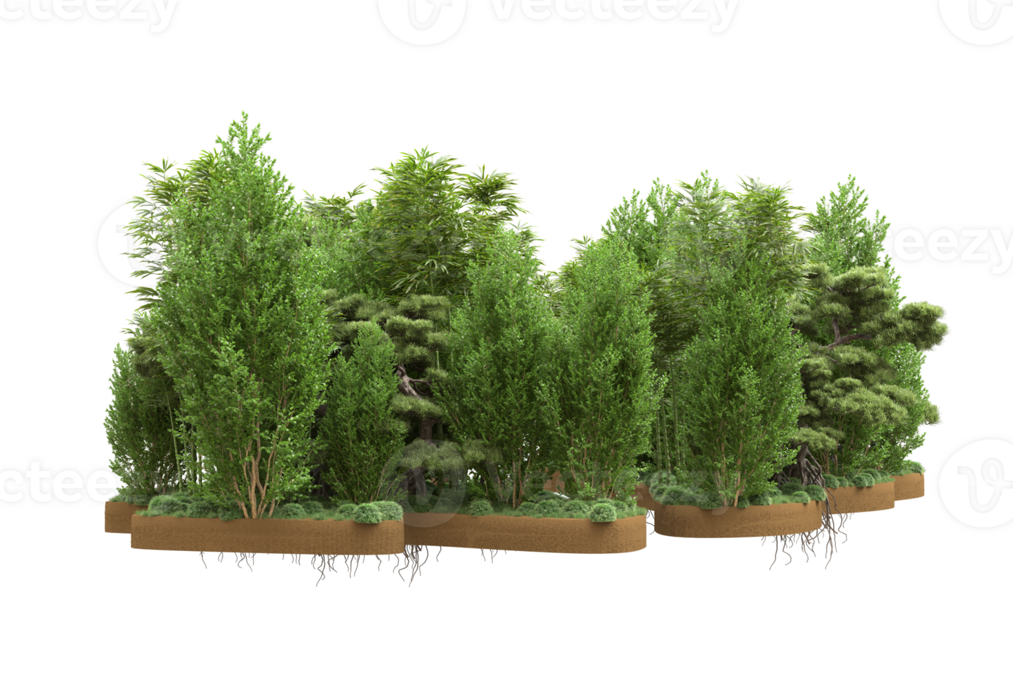 Realistic forest isolated on transparent background. 3d rendering - illustration png