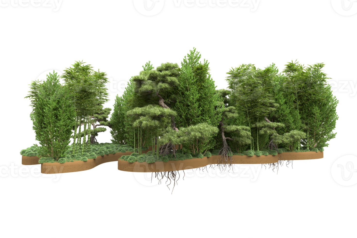 Realistic forest isolated on transparent background. 3d rendering - illustration png