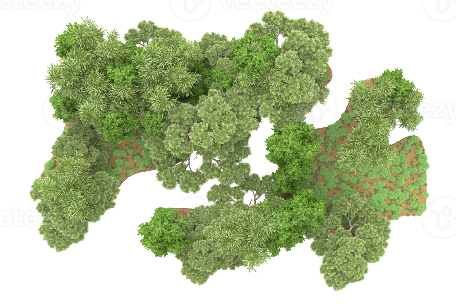 Realistic forest isolated on transparent background. 3d rendering - illustration png