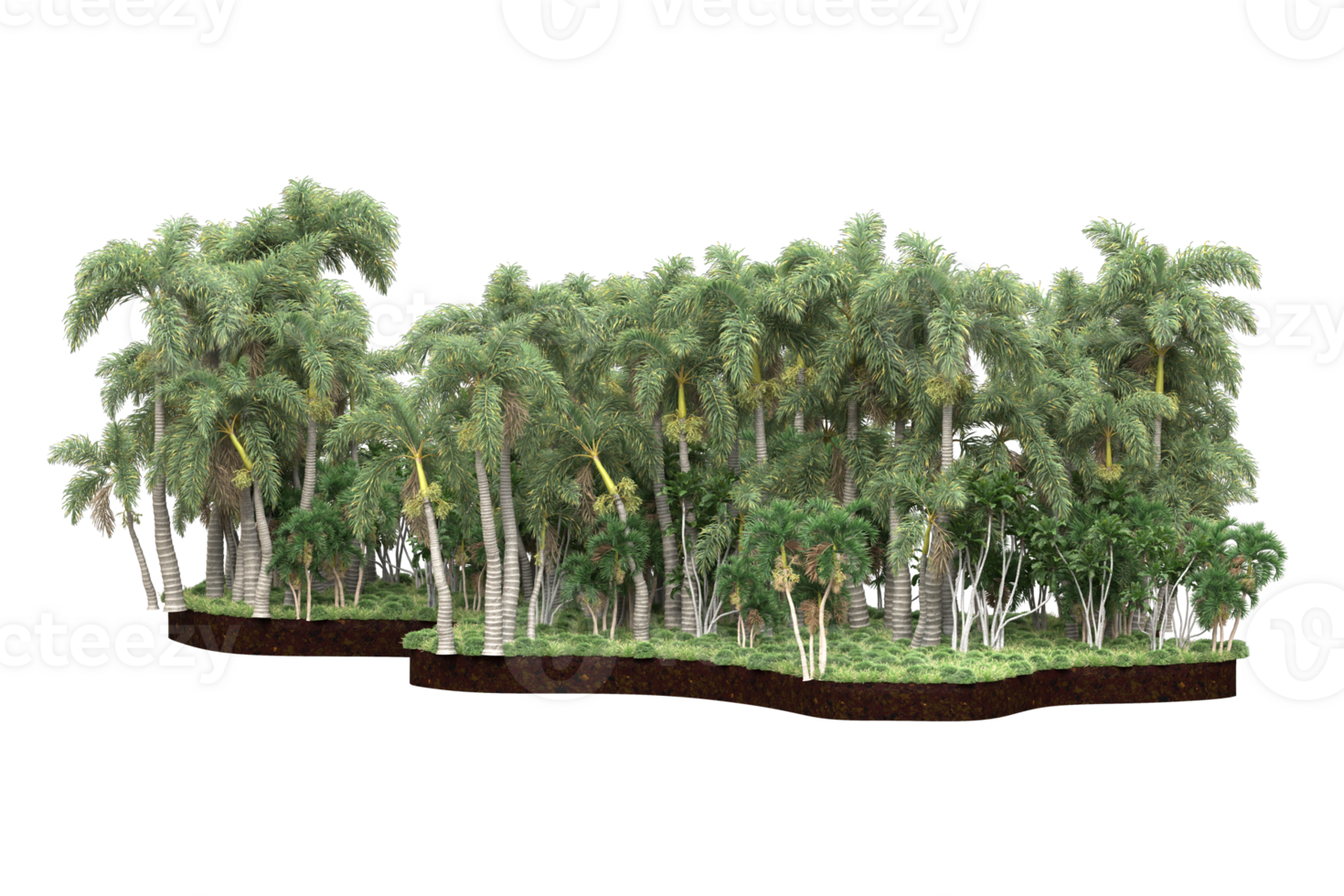 Realistic forest isolated on transparent background. 3d rendering - illustration png