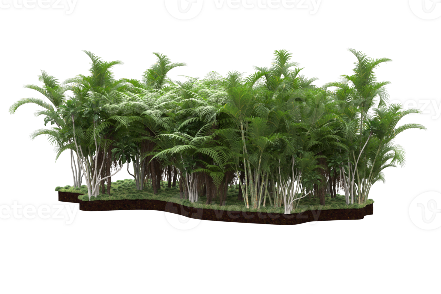 Realistic forest isolated on transparent background. 3d rendering - illustration png