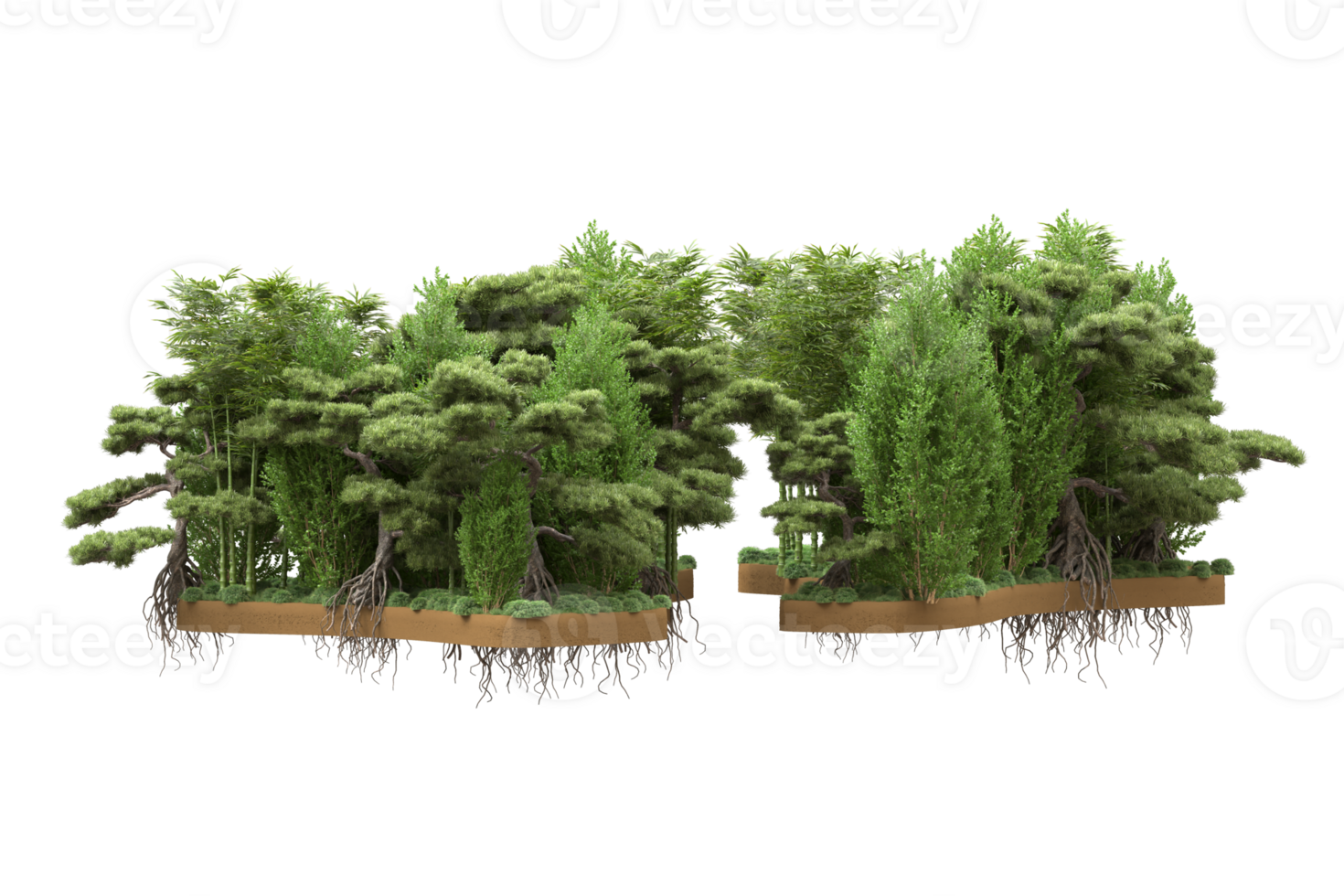 Realistic forest isolated on transparent background. 3d rendering - illustration png