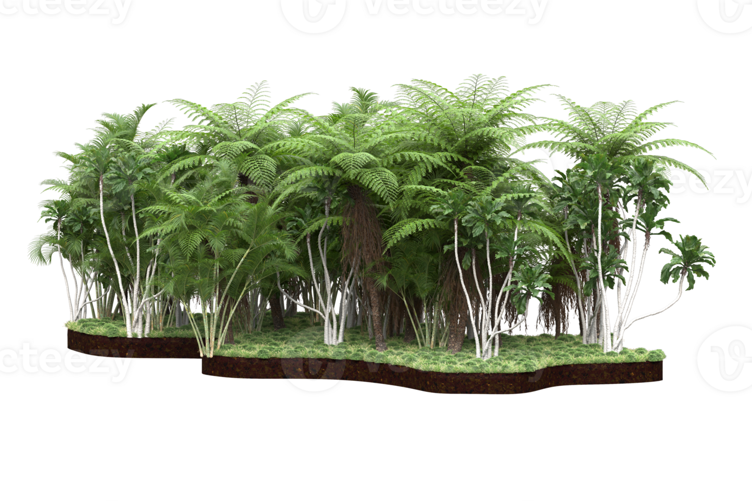Realistic forest isolated on transparent background. 3d rendering - illustration png
