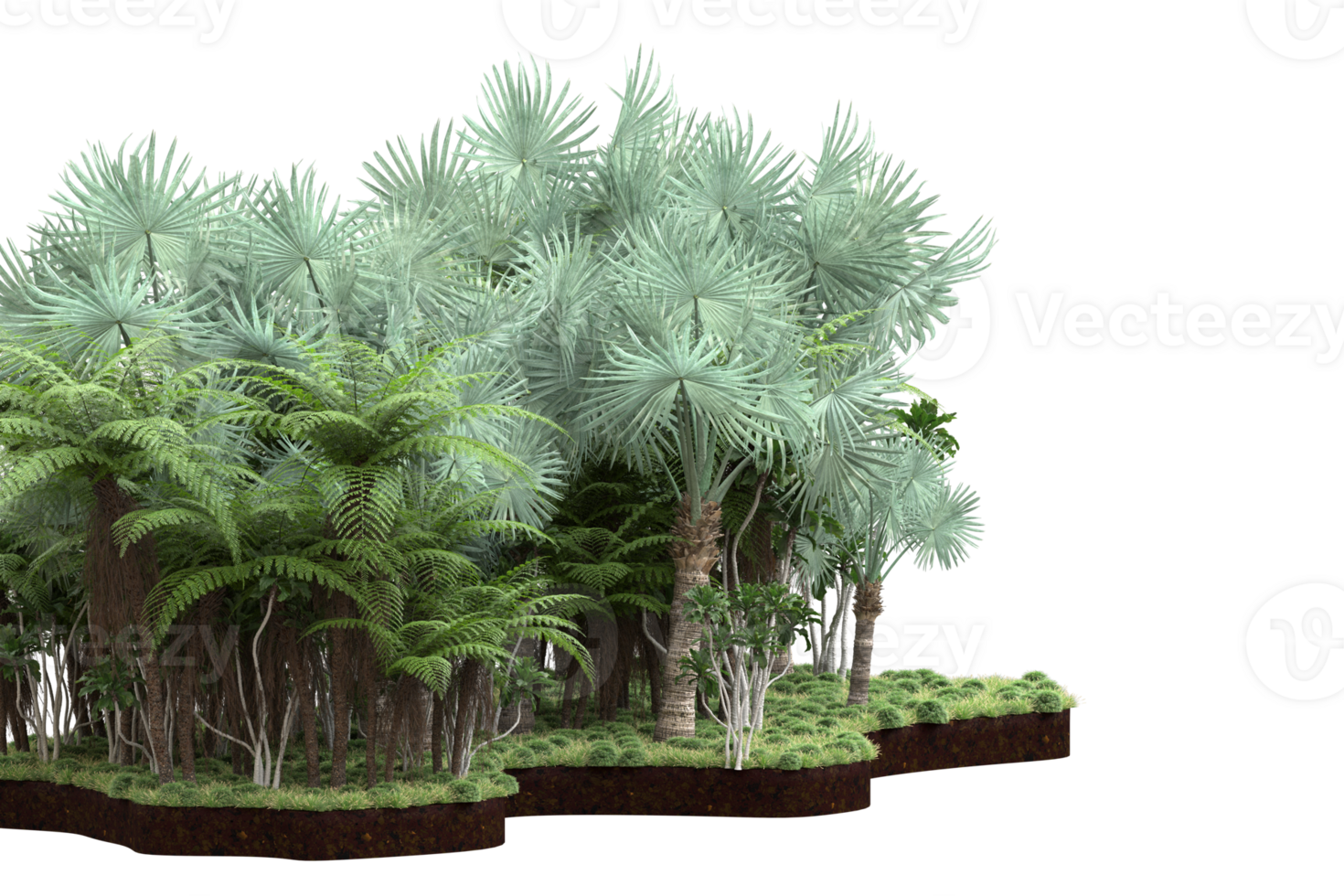 Realistic forest isolated on transparent background. 3d rendering - illustration png
