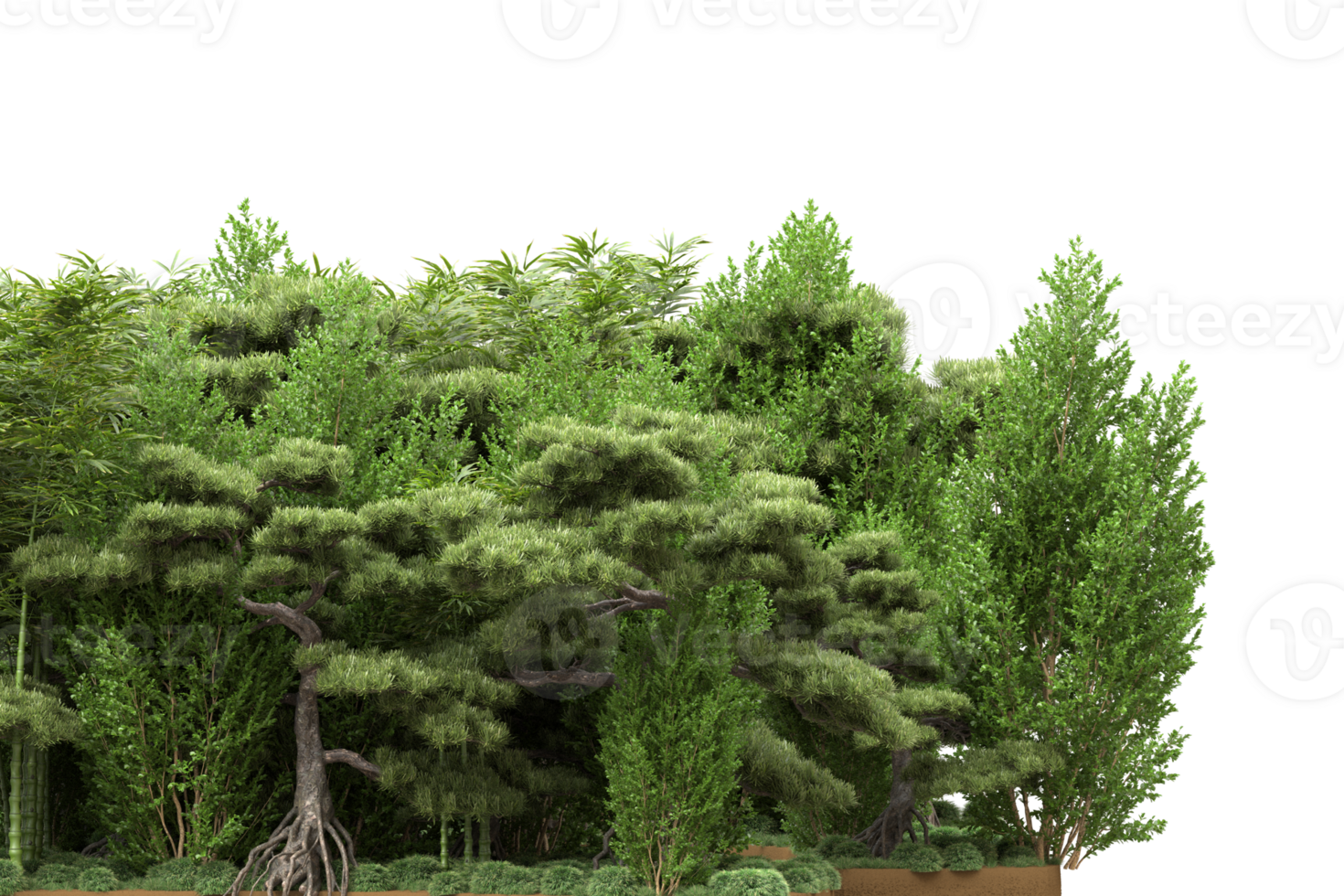 Realistic forest isolated on transparent background. 3d rendering - illustration png