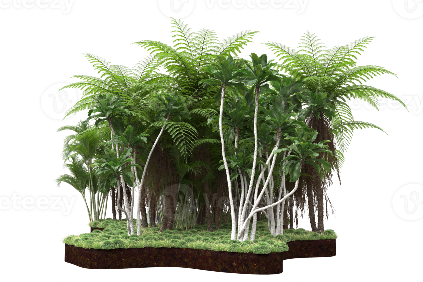 Realistic forest isolated on transparent background. 3d rendering - illustration png