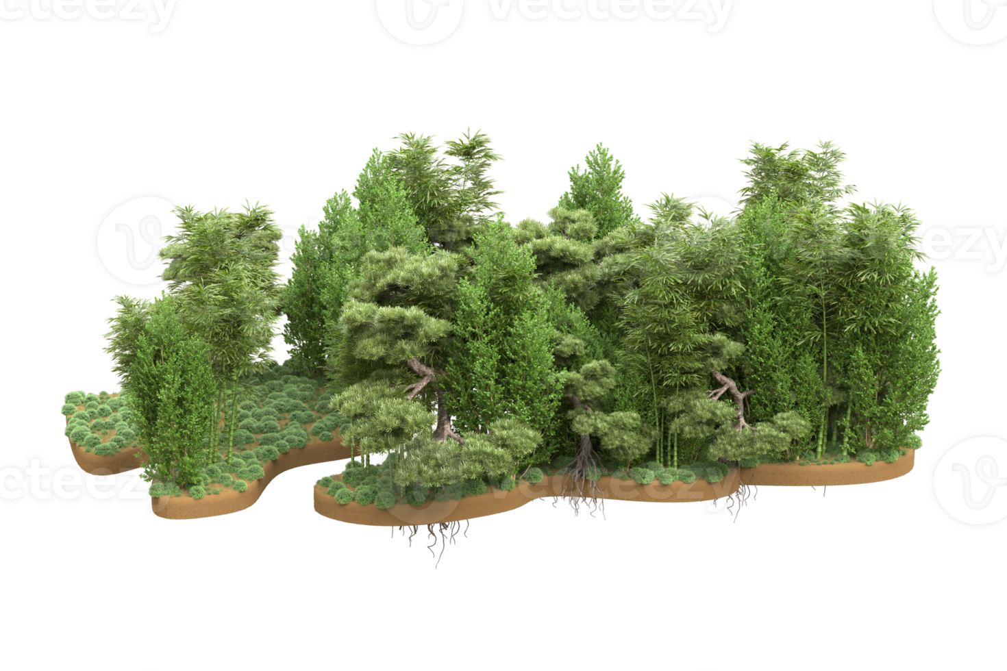 Realistic forest isolated on transparent background. 3d rendering - illustration png