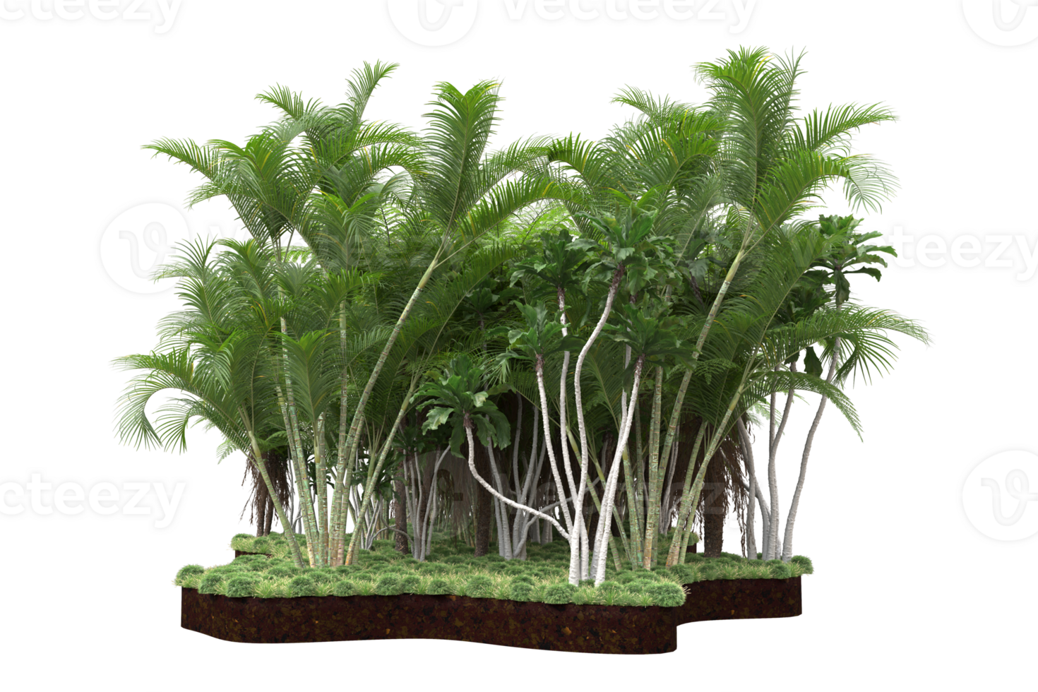 Realistic forest isolated on transparent background. 3d rendering - illustration png