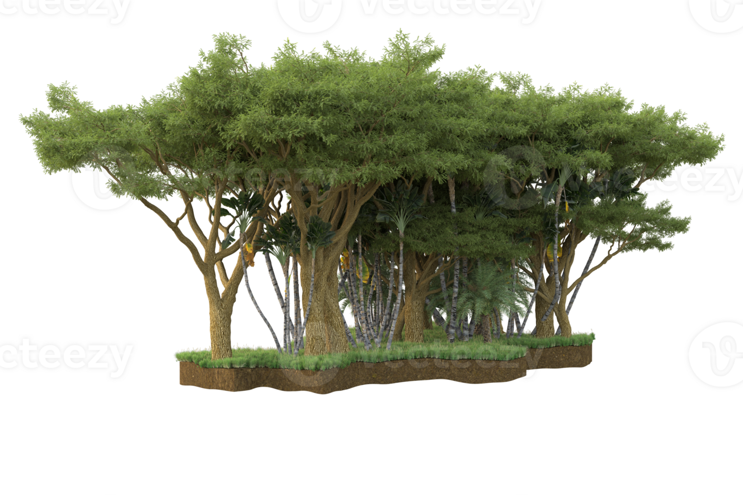 Realistic forest isolated on transparent background. 3d rendering - illustration png