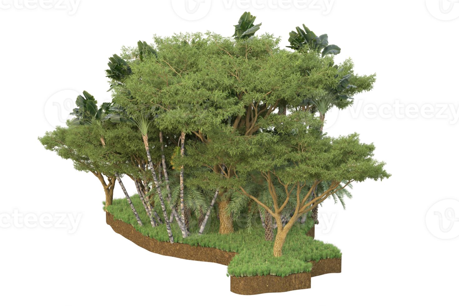 Realistic forest isolated on transparent background. 3d rendering - illustration png